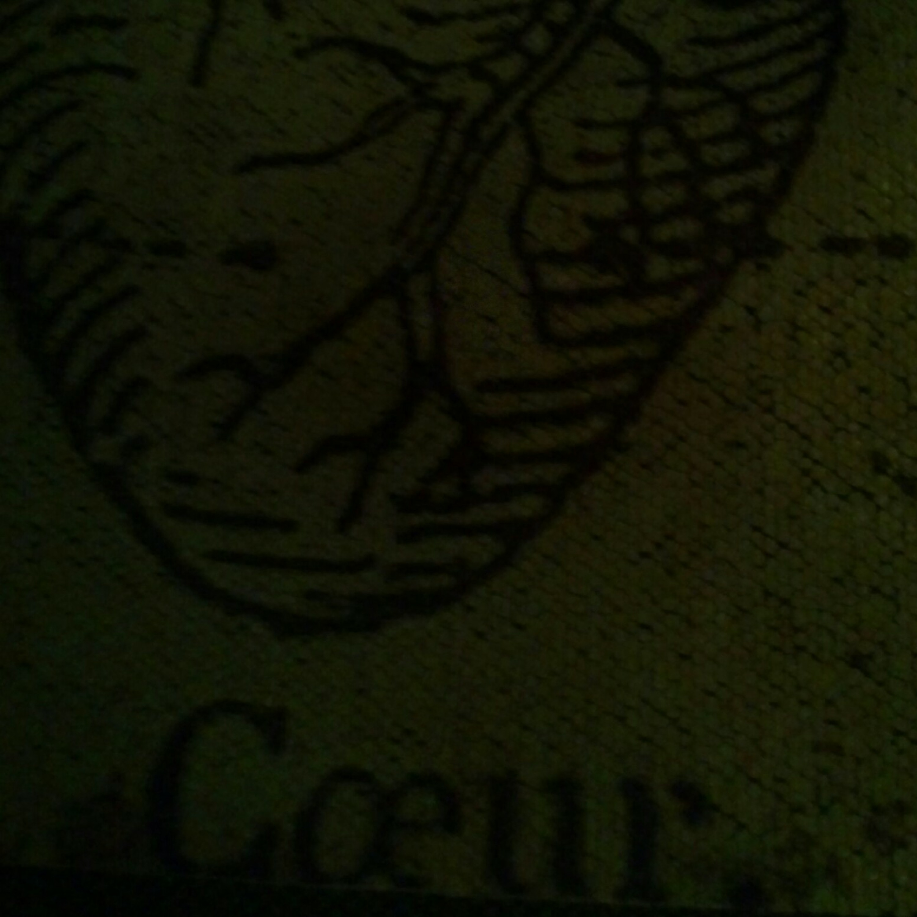 Coeur episode artwork