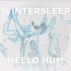 Wintersleep - In Came the Flood