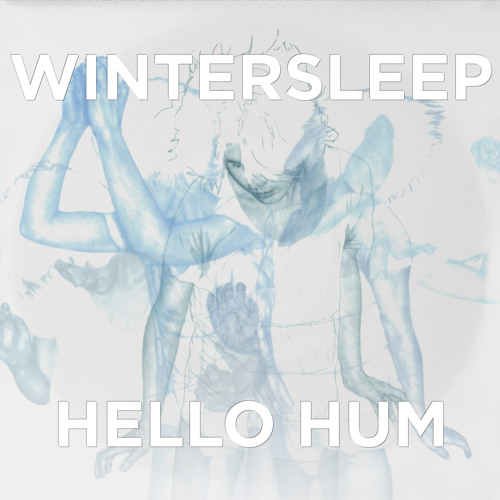 Wintersleep - In Came the Flood