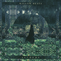 Willow Beats - Elemental