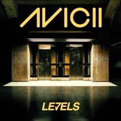 Avicii - Levels (Carlos Sanchez Remix)