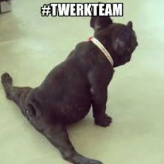 TWERK