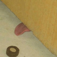 Two Of Us (Cover) with Collin and Maggie