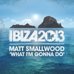Matt Smallwood - What I'm Gonna Do *** OUT NOW ***