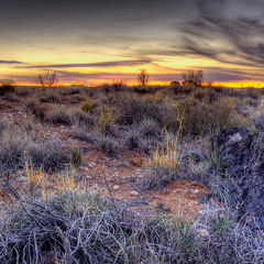 Where the fuck is my wallet