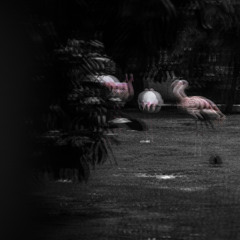 Concret - Play The City#0 (Ft. Diego A. Escobar & Theo P. Hall)