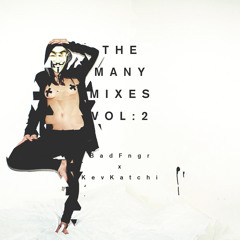 Budget Jones X Badfngr - The Many Mixes Vol 02