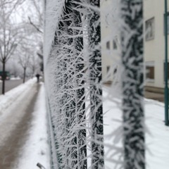 Die Geschichte vom Schneeflöckchen