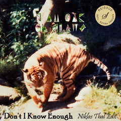 I am Oak - Don't I Know Enough (Niklas Thal Edit) [FREE DOWNLOAD]