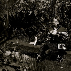 F is for Ferret (Autoharp)