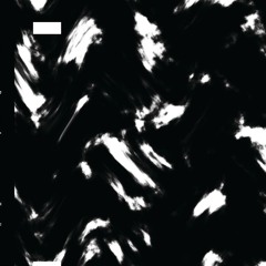S Olbricht - Deutsch Amerikanische Tragödie (OPAL021)