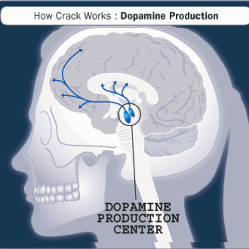 Studio M Dopamine DJ Mix