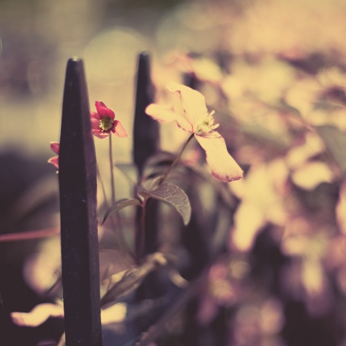 Lapalux - Without You (TWOS Remix)