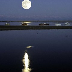 من أجلك أبكيت القمر