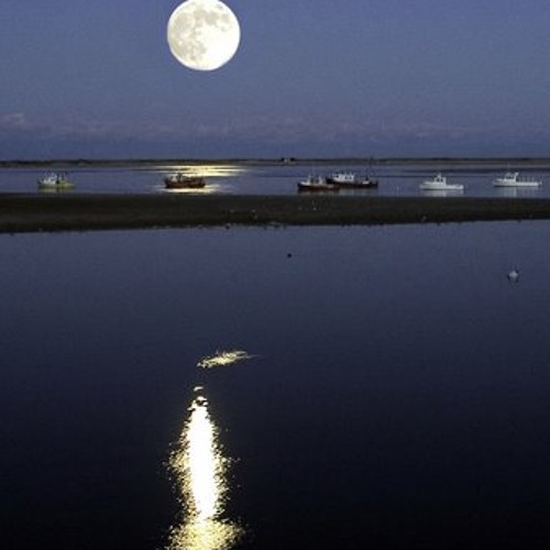 من أجلك أبكيت القمر