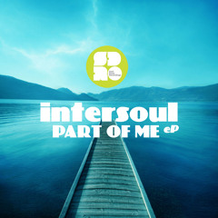 Intersoul & Identified - Beautiful Bird