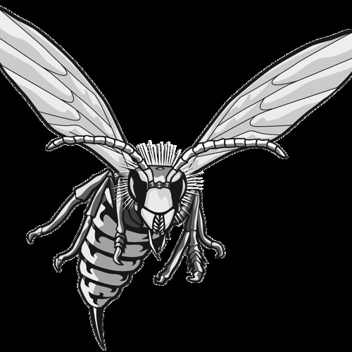 The Black frelon  Mix 2013 (The Biiiizzzzzz Attac)