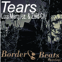 Luis Marquez & Zaid Ch. - Tears (Original mix)
