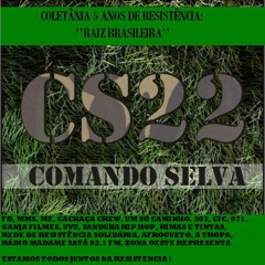 Comando Selva - Caminhar em PAZ (Part. Zé Bolinho) (Prod. Break)
