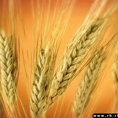 الليل يآسنبلاي !