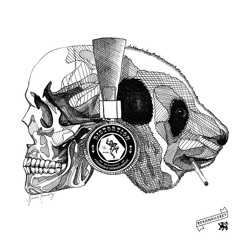 Stormstepper & Skakes - Afghan Promises Free Download at Rekompileret.dk