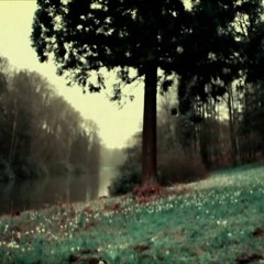 FIGHTER IN  THE WILD