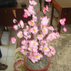 Jeje GuitarAddict - River (JKT48 Cover)