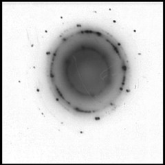 Mandeldrop - Particle