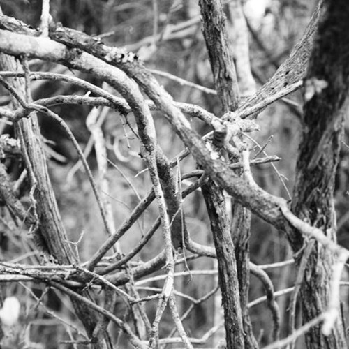 01 3attab  cheb abid الش اب غبٍد