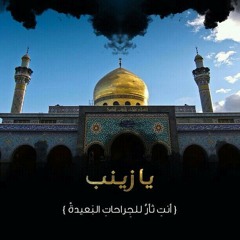 وفاة السيدة زينب (ع) - الشيخ مصطفى الموسى
