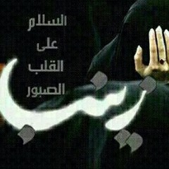 چنها زينب هاي