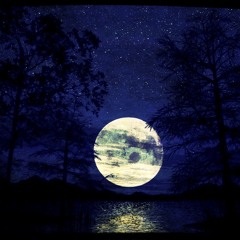 Arjuna Schiks - Moonlight Chase