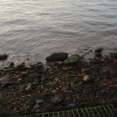 In The Flowers Animal Collective x Mystery Cloud STRFKR [Honosa Remix]