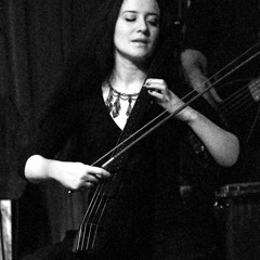 The Wailer (Rada & Ternovnik + Nogon Shumarov. CD UKOK 2013)