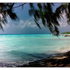 Onetox - So Into You