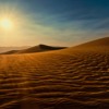Sting Feat. Cheb Mami-Desert Rose