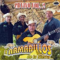 Armadillos de la sierra  elenita.Epicenter bass