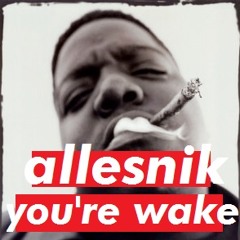Allesnik - You're Wake