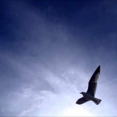 Philip Wesley - Wings To Freedom