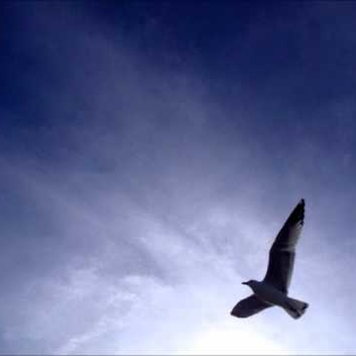 Philip Wesley - Wings To Freedom