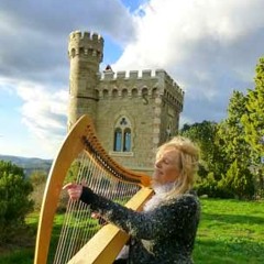 fragrance of fire  by   Ani Williams