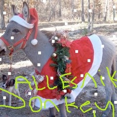 Allesnik - Donkey