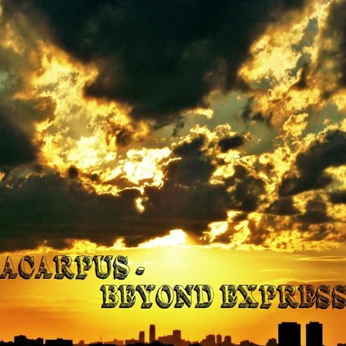 Metacarpus - Beyond Expression