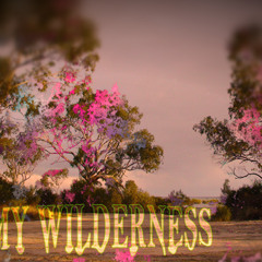 Nobodys Fault But My Own (Beck Cover)