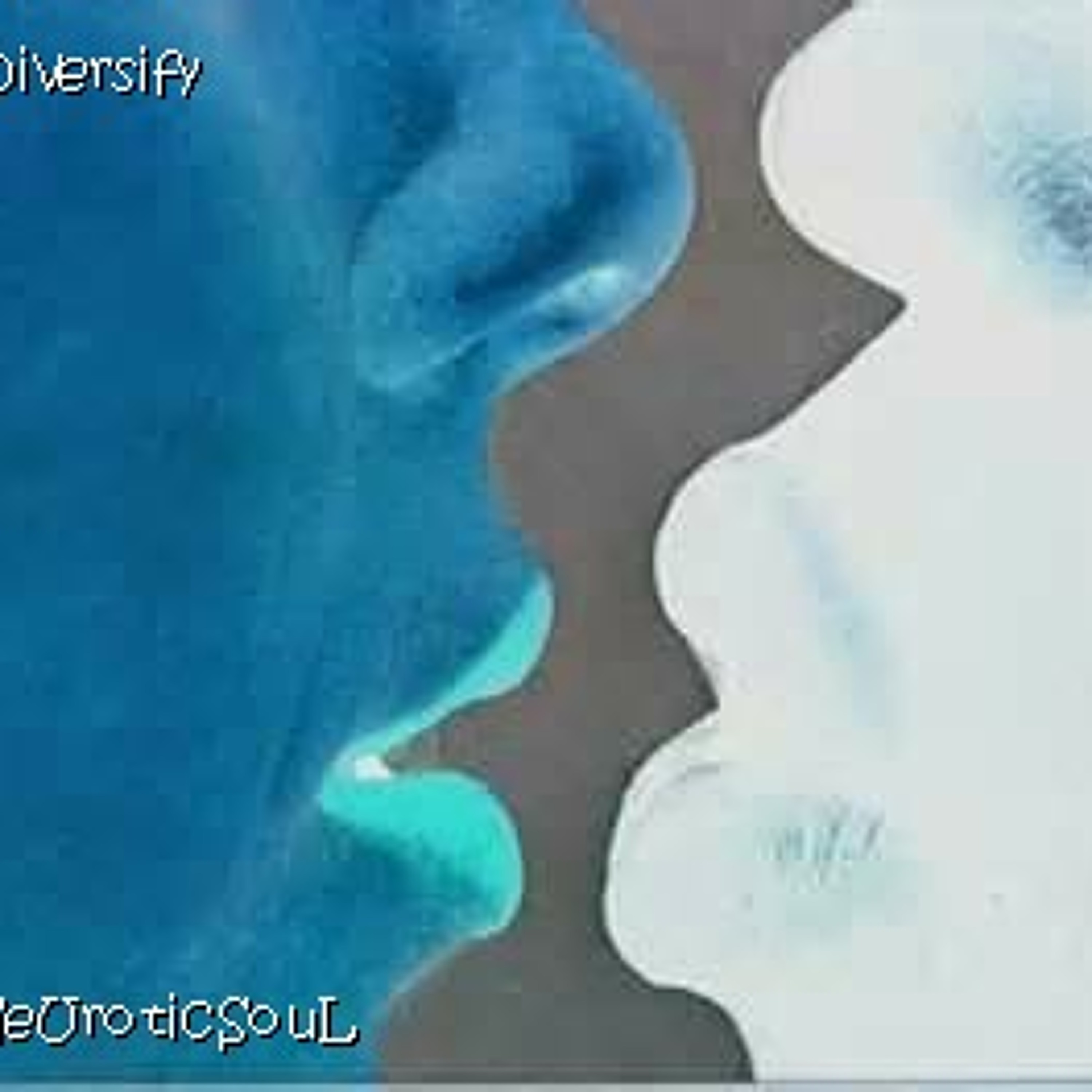 NeUrotic SouL (DSME)