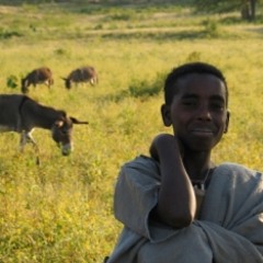 "Betzet Israel"  music 13