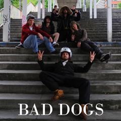 02 Bad Dogs