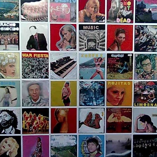 The new joe aloha palmeras