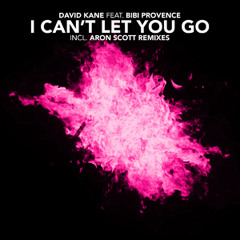 David Kane feat. Bibi Provence - I can't let you go (Radio edit)