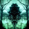 Paranoid (Forest/ Dark Psy Set) DJ mix artwork - Electronic music tracklist cover image